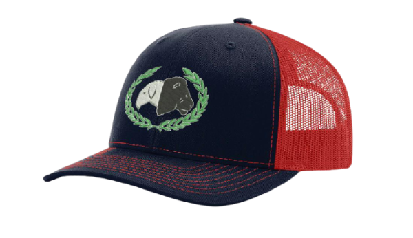 Red & Black Asaya Zoe Baseball Hat